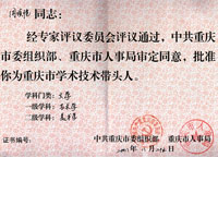 重庆市学术技术带头人
